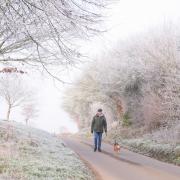 Freezing temperatures are expected in Norfolk next week