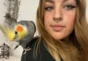 A teenage birdwatcher has become best friends with her singing pet cockatiel 