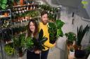 Roscoe Gibson-Denney and Michelle Clingan at the Plant Den, their houseplants and cacti stall at Jarrold earlier this year. Picture: DENISE BRADLEY