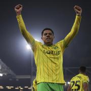 Gabby Sara celebrates his goal in Norwich City's 3-1 Championship win against Hull City