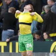Josh Sargent sums up the mood of frustration after Norwich City's 1-0 Championship home defeat to Sunderland