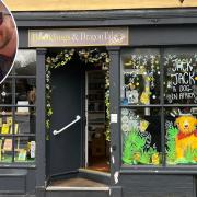Norwich illustrator Charli Vince has decorated the windows of Bookbugs and Dragon Tales in Timberhill ahead of a launch event for Ben Garrod's new book Jack-Jack: A Dog in Africa
