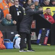 David Wagner says Norwich City will go strong against Birmingham