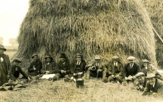 Fourses in the field for men and boys could also provide a feast of homely Norfolk wisdom and cheerful banter Picture: Keith Skipper Collection