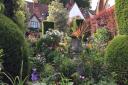 A secret garden behind Norwich's Bear Shop.