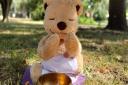 A teddy bear's picnic is coming to Waterloo Park in Norwich.