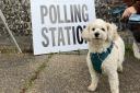 Polling stations across Norwich have opened with people bringing their dogs along while they cast their ballot