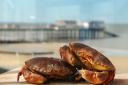 Cromer crab is one of Norfolk's most famous delicacies