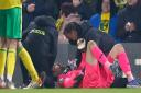 Tim Krul suffered a shoulder injury in the closing stages of Norwich City's Premier League win over Everton