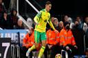 Dimitris Giannoulis made an impact from the bench as Norwich City drew 1-1 with Newcastle United.