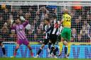 Teemu Pukki salvaged a point for Norwich City with a late equaliser in a 1-1 Premier League draw at Newcastle United