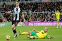 Newcastle United's Ciaran Clark was red carded for hauling down Teemu Pukki in Norwich City's 1-1 Premier League draw
