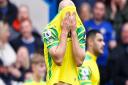 Teemu Pukki summed up the mood of dejection for Norwich City in a 7-0 Premier League mauling at Chelsea