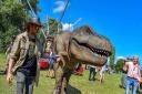 Visitors to the Castle Quarter in Norwich will be able to meet animatronic dinosaurs and take part in a themed trail this summer.