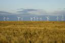 We must embrace the wind-powered revolution taking place in East Anglia, says Rachel Moore. Picture: Getty Images