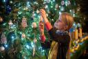 St Peter Mancroft church in Norwich, that has been transformed with the addition of over thirty Christmas Trees. Evie Randleson attaching one of the decorations she made to the tree.Photo : Steve Adams