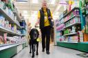 Carole Adam, volunteer co-ordinator dog assessor for the PAT charity with Bailey, a 10-year-old PAT  (Pets As Therapy) dog. The assessment includes the dog walking around a public area calmly and relaxed. Picture: DENISE BRADLEY