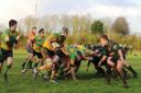 Crusaders Rugby Club won their previous game on Saturday 39-0, beating Newmarket.