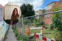 Green Party city councillor Ash Haynes (pictured) is calling for the former community garden between Rose Lane and St Johns Street in Norwich to be reinstated