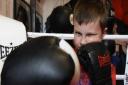 Eight-year-old Xander Waldrom, who has autism, but is benefitting from boxing training. Picture: DENISE BRADLEY