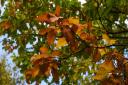 When is the autumn equinox this year?
