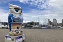 Hopes for 2025 sculpture trail as Big Hoot owls enjoy new homes