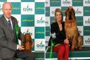 Robin the miniature Dachshund (L) with owner Roy Wood and Bertie the Bloodhound (R) with owner Tina Howie have won awards at Crufts 2023