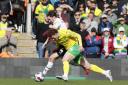 Norwich City laboured to a 0-0 Championship stalemate against Rotherham