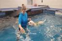 Doggy Paddle Norwich allows owners to hop in the water and make a splash with their dog