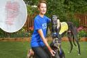 Hannah Colbourn will miss her rescue greyhound Todd, as will pupils at Avenue Junior School