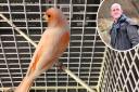 People baffled as multiple non-native birds found and captured in Costessey