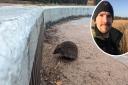 The safety of park waterways and disused water features for wildlife has been questioned after a hedgehog was stranded in a pool in Wensum Park