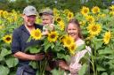 L-R Tom Wright, Alfie Wright and Jo Sindall in the Ha Ha Farm sunflower field Picture: Denise Bradley
