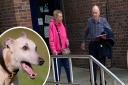 Michael and Irene Gant were given suspended jail sentences for breaching a criminal behaviour order over their barking whippets