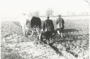 Men and horses in harmony  on the January ploughing scene a few Norfolk years ago.  Big armies of  farmworkers also found plenty of fertile furrows  when it came to leg-pulling yarns Image:  Keith Skipper Collection