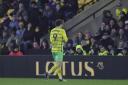 Josh Sargent says fan atmosphere makes a big difference to Norwich City