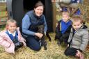 Children at West Earlham Infant School looked after lambs for a week as part of the Learn About Livestock project. Pictured: Claire Hewett with pupils, from left, Olivia, Arlo and Jay, meeting two-week-old lamb Houdini Ana