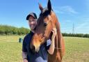 Shawn Overall with World Horse Welfare's Chrystal, one of his sister-in-law's rescue horses
