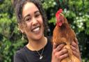 Bushra Abu-Helil is a PhD student researching chicken microbiomes at Quadram Institute Bioscience in Norwich