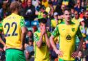 Norwich City capitulated in a 3-0 Premier League defeat to Newcastle