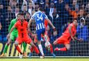 Grant Hanley of Norwich blocks a shot from Joel Veltman of Brighton during the Premier League match at the Amex Stadium