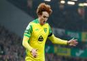 Josh Sargent misses Norwich City's clash with Palace due to illness