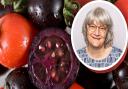 Prof Cathie Martin and her team at the John Innes Centre have developed genetically modified (GM) purple tomatoes with health-giving properties