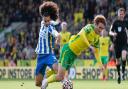 Josh Sargent blew a big first half chance for Norwich City in a 0-0 Premier League draw against Brighton