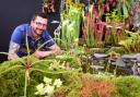 Steve Bunclark with his Gold Award winning stand of Predator Plants based at Rackheath, at the Royal Norfolk Show Flower Show. Picture: DENISE BRADLEY