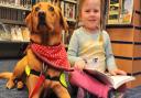 Summer Parker meets Pets as Therapy dog Delia at Norwich’s Millennium Library trial event.Picture by SIMON FINLAY.