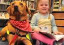 Summer Parker meets Pets as Therapy dog Delia at Norwich’s Millennium Library trial event.Picture by SIMON FINLAY.