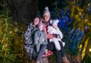 The Fairhaven Woodland and Water Garden Christmas Lights Walk is returning.