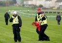 A member of activism group Animal Rising is restrained by police at the Scottish Grand National