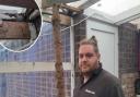 Matthew James has had to prop up his conservatory with an old Christmas tree after battling with Flagship Homes for the last 18 months to get rotting wood fixed